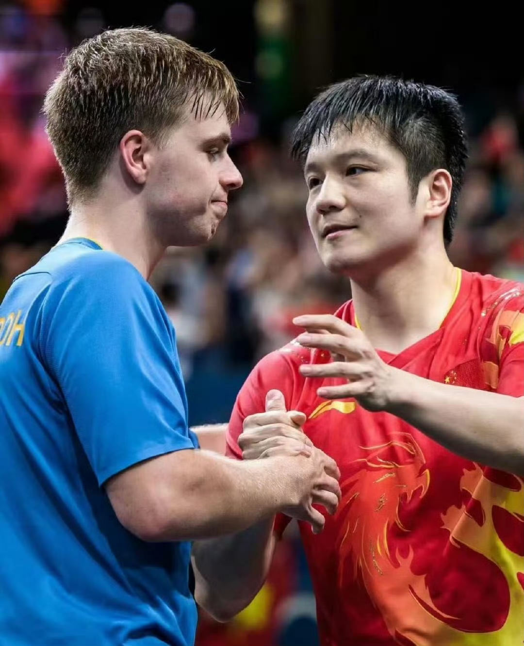 瑞典队横扫葡萄牙队，樊振东点燃赛场