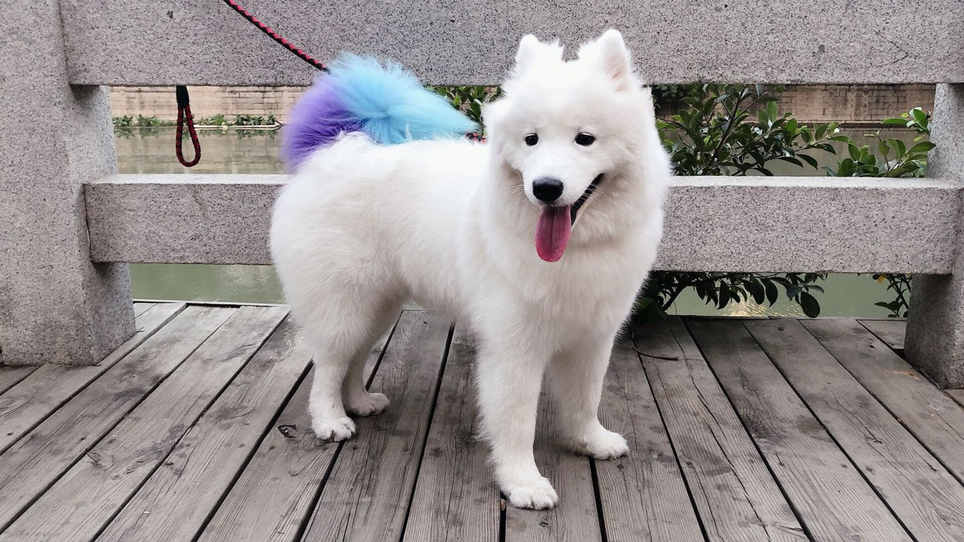 开云体育在线-爱德华兹40分冰火交响曲，猛龙三节打花公牛斩获六连胜