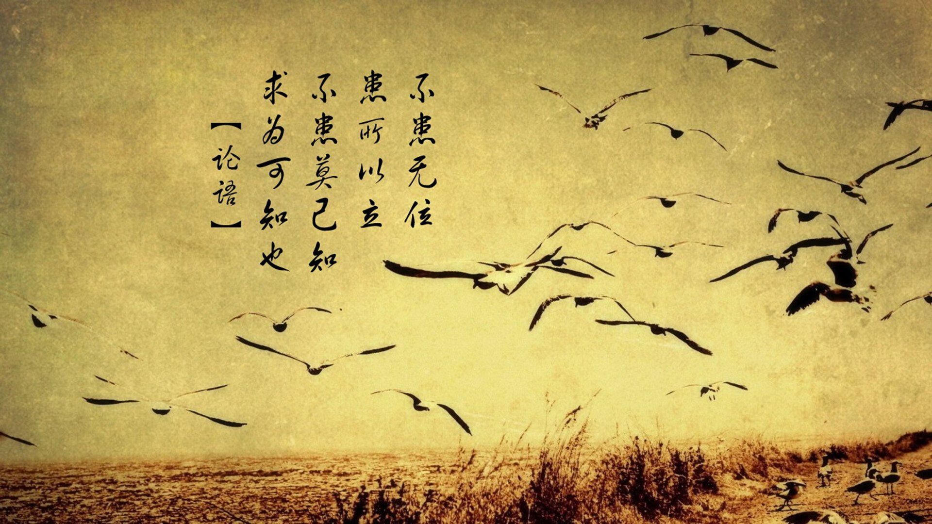 开云体育-体育奇迹的两面，当拜仁死守荣耀时，多特在想猛龙翻盘篮网