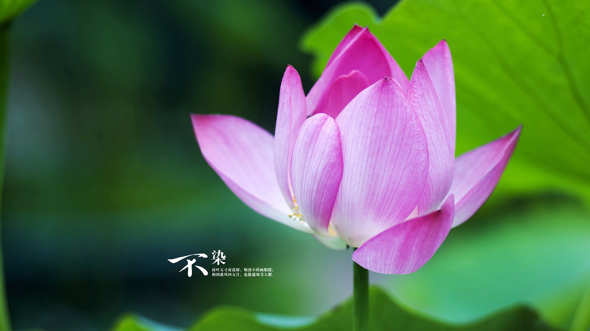 这个构思的核心在于，将美洲杯赛场上智利与哥伦比亚之间一场具有决赛意义的经典对决，比喻和升华为一场欧冠决赛焦点战，并强调其不可复制的历史独特性