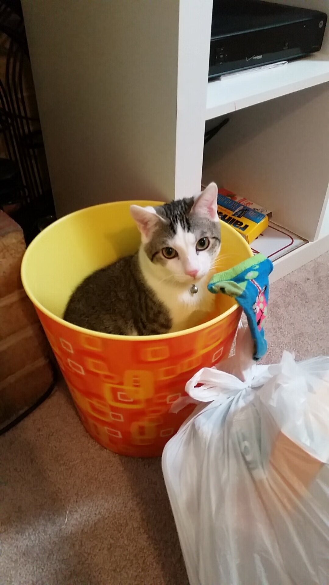 欧冠半决赛之夜,当19岁的拉梅洛用一脚世界波,照亮了尘封25年的传奇之名