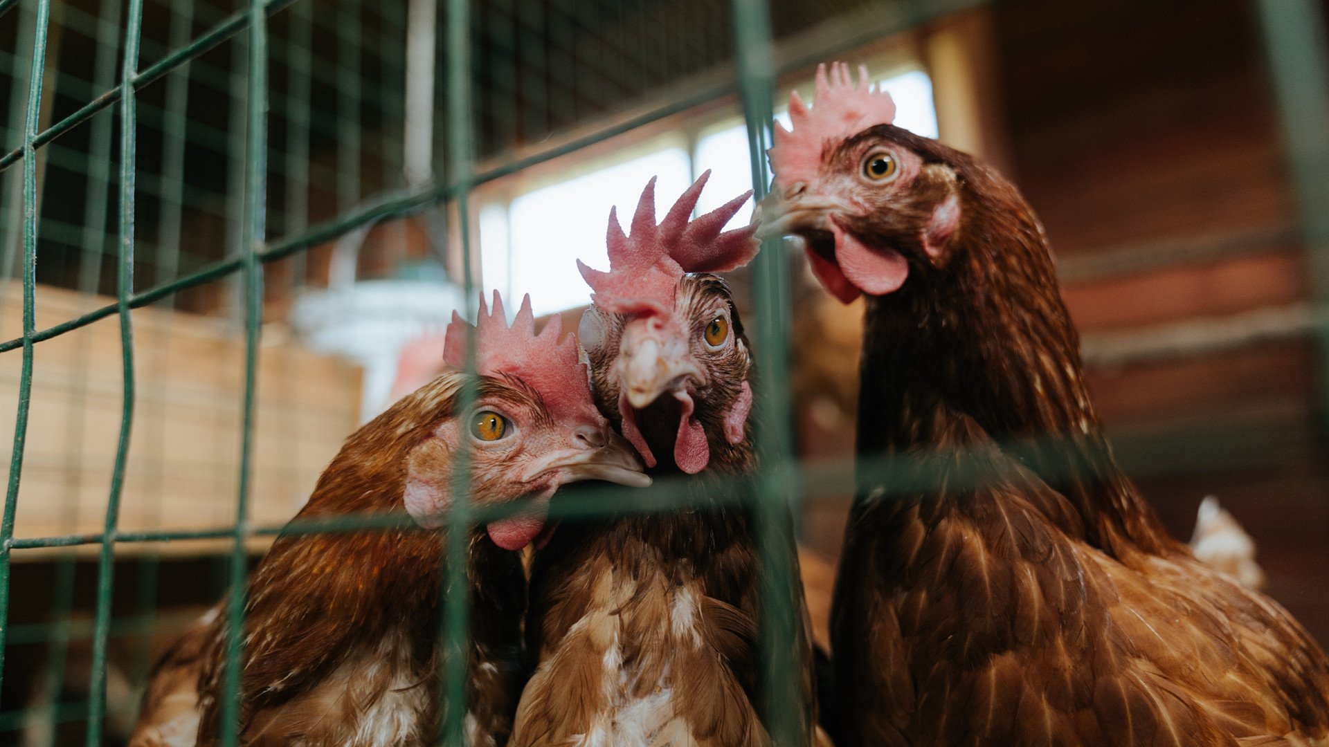 鏖战之夜，铁壁阿坎吉—当马德里的矛遇上慕尼黑的盾