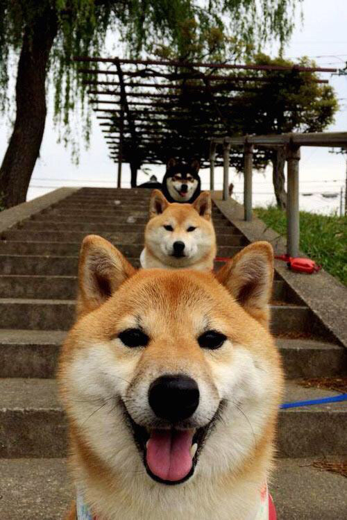 开云体育入口-雨夜鏖战，克罗地亚航海家劈浪南非，卡马文加掌舵定乾坤