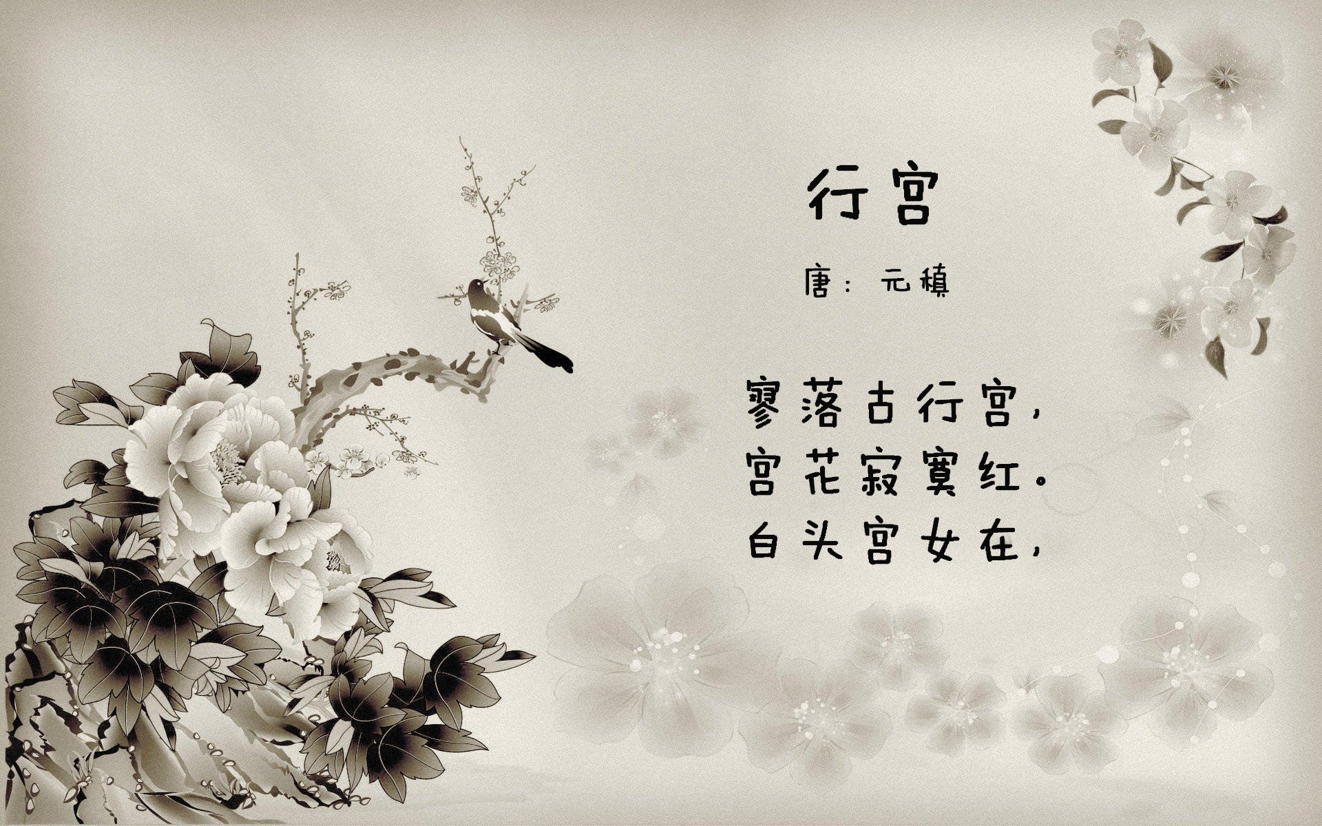 开云体育登录-巴黎与厄瓜多尔的足球之约，布鲁诺如何闪耀全场