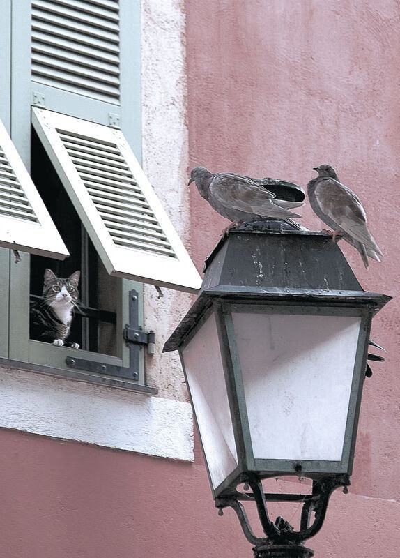 开云体育app-克瓦拉茨赫利亚的圣殿之光，当弱旅南非用连续得分压制希腊，谁的舞台正被重新定义？