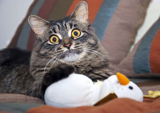 开云体育登录-场域不同，内核相通，冠军之心超越赛场边界