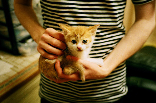 空间魔术师，德罗赞用古典艺术撕破热火铁幕