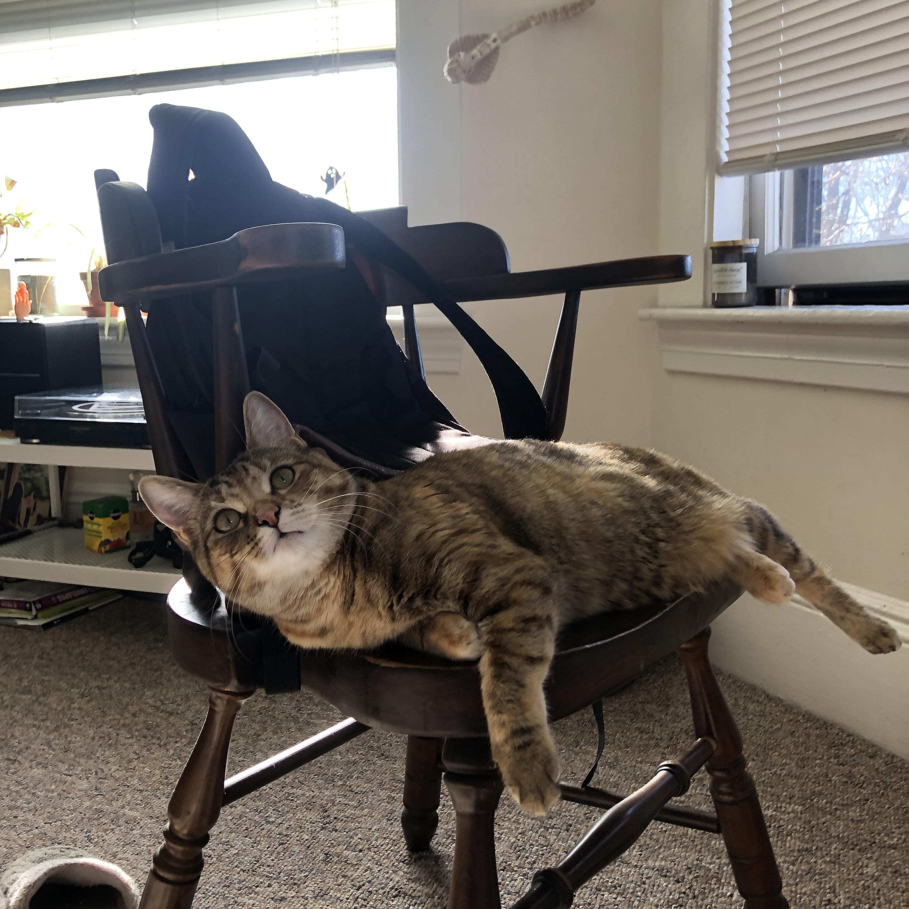 光州奇迹，辽宁队逆转凯尔特人，切特全场最佳无争议