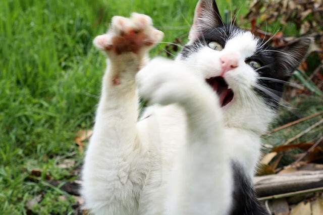 冰封之城的心跳，拉梅洛终场绝杀改写雷霆剧本