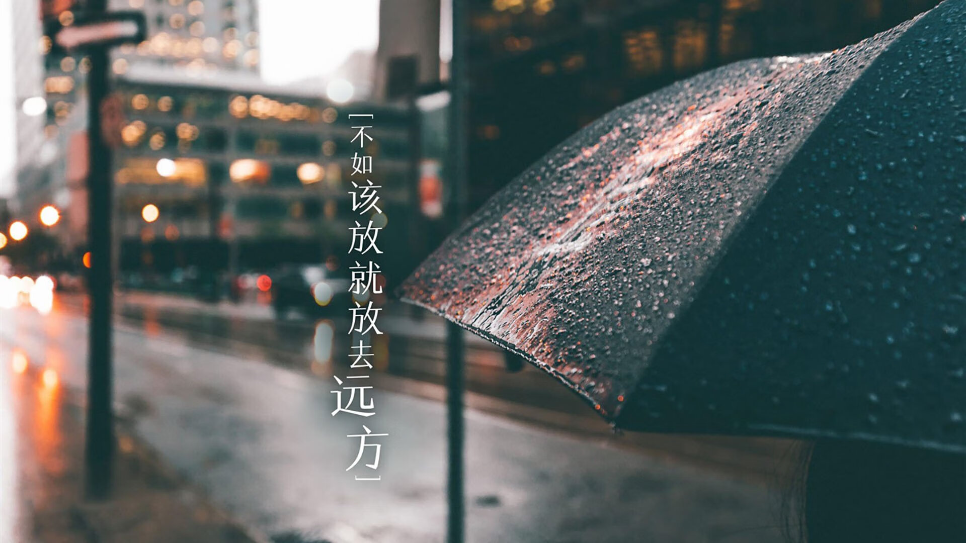 开云平台-蓝衣军团的绝境突围,B费一剑封喉,意大利在匈牙利狂潮中捍卫荣耀