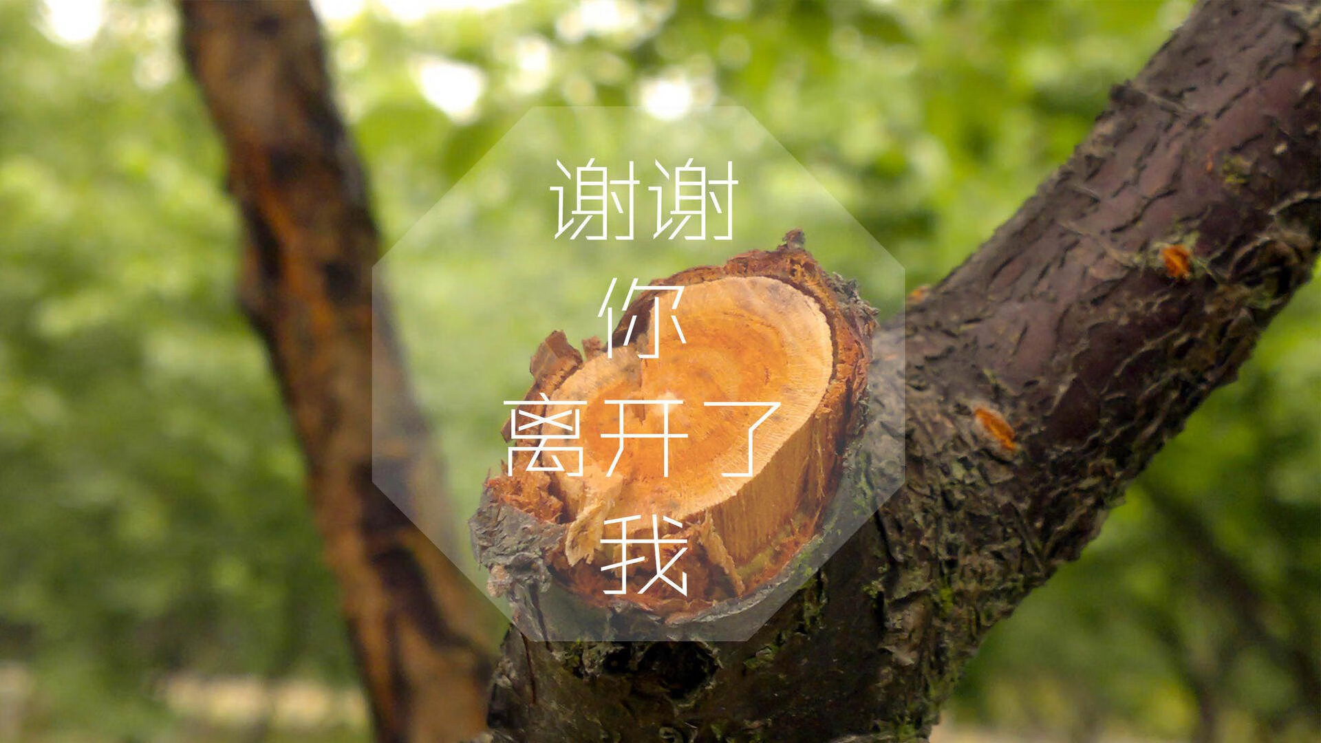 开云体育官网-扩展